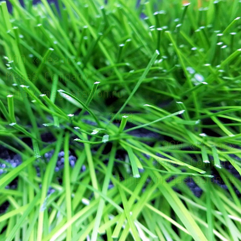 Новое поколение искусственных трав производится из монофиламентного волокна